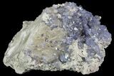 Purple/Gray Fluorite Cluster - Marblehead Quarry Ohio #81187-2